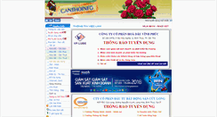 Desktop Screenshot of canthoinfo.com